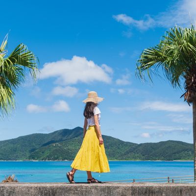 GW2025におすすめの屋久島ツアー・奄美大島ツアーイメージ